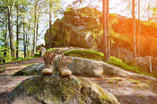 Well-worn hiking boots, unlaced and muddy on the forest floor. Tourism concept.