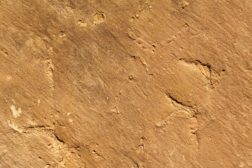 close up of an orange sandstone background