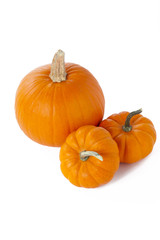 portrait of three pumpkins