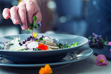 Chef in hotel or restaurant kitchen cooking, only hands. He is working on the micro herb decoration. Preparing vegetable salad with pieces of grilled chicken  meat - virgin sirloin.