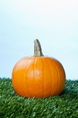 close-up of a halloween pumpkin.