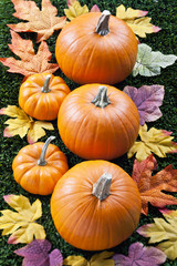 close-up image of halloween pumpkins with autumn leaves.