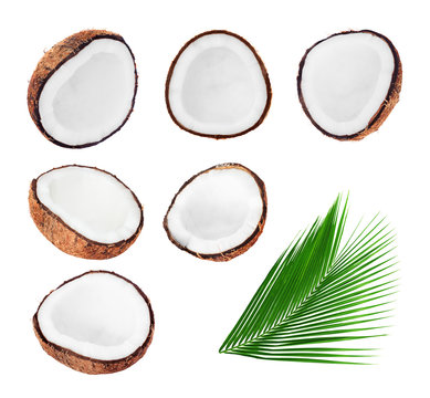 Collection of fresh coconuts on white
