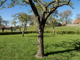 Fototapeta premium Enkhuizen in the netherlands