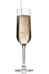 champagne falling in glass over white background.