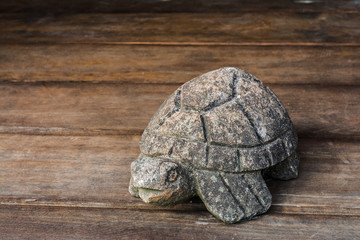 Turtle on wood floor