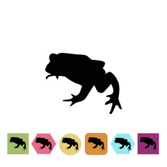 Frog icon