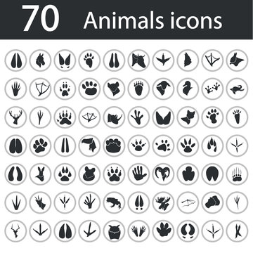 Set of seventy animal icons