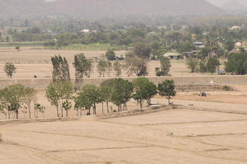 Fototapeta premium Farm after harvest