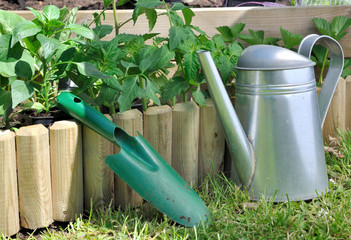 plantoir et arrosoir dans carré potager  © coco