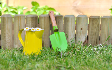 pâquerettes dans petit bidon et petite pelle contre bordure bois d'un jardin
