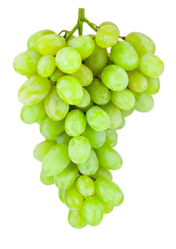 Ripe green grape hanging isolated on white background