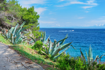 Fototapeta premium Panorama marino estivo in Croazia