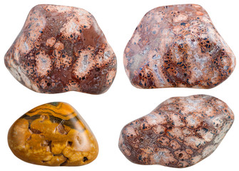 set of various leopard skin jasper gemstones