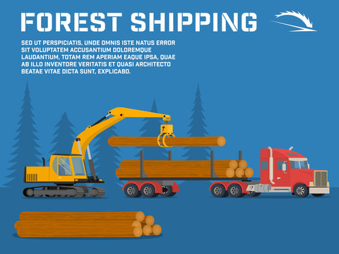 Shipping timber. Loading felled trees in the timber crane
