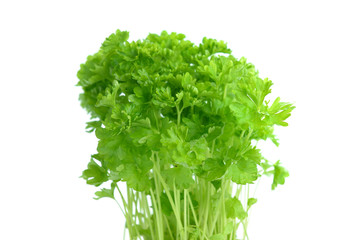 Bunch of fresh parsley isolated