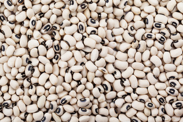 black eyed pea