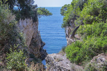 Paesaggio con mare e coste rocciose