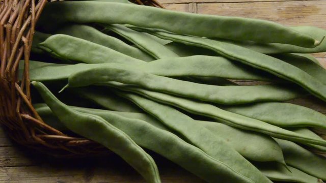 Phaseolus vulgaris שעועית מצויה Fasola zwykła Piattoni green beans Feij&atilde;o Fagiolini