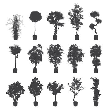 house and office plants silhouette set