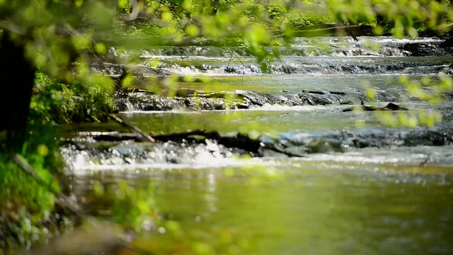 Liczne małe wodospady na rzece, na pierwszym planie rozmyte liście 