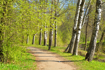 Park at spring.