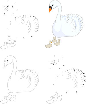 Cartoon swan with her chicks. Coloring book and dot to dot game