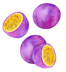 Passion fruit or maracuya set. Hand-drawn fruits - maracuyas. Real watercolor drawing.