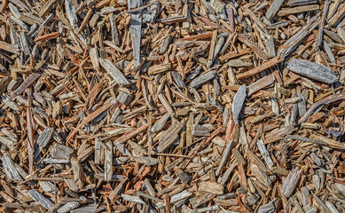 Playground Wood Chips for Abstract Texture Background