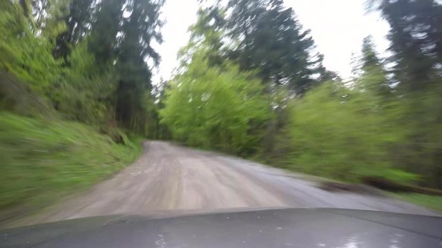 4K Time lapse driving in forest gravel road