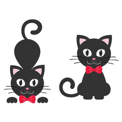 cat black with tie set