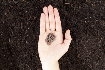 human hand with seeds