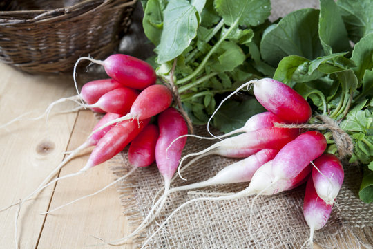 Bunches of fresh radishes on a wooden table