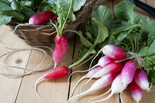 Bunches of fresh radishes in a wicker basket on a wooden table