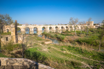 Fototapeta na wymiar Bridge at Cordoba Spain - nature and architecture background