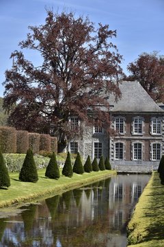 L'arbre au feuillage brun près du château de Rouillons le long du canal inférieur aux Jardins d'Eau d'Annevoie 