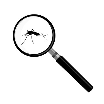 Mosquito and magnifier