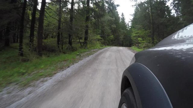 4x4 car driving in forest 