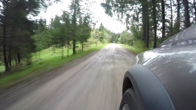 4x4 driving on forest  road