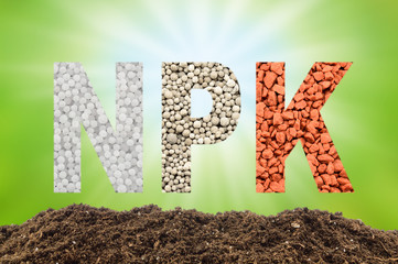 NPK letters made of mineral fertilizers