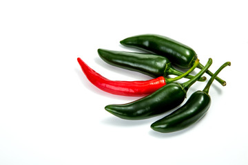 Jalapeno pepper on white background