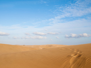 Fototapeta na wymiar Dunes of Maspalomas - protected landscape area in Canary Island