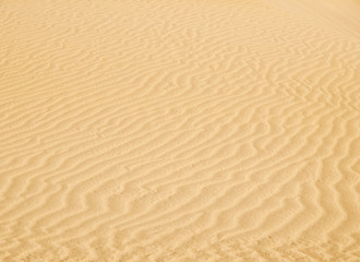 Fototapeta na wymiar Wasandy texture of dunes in Maspalomas, Gran Canaria
