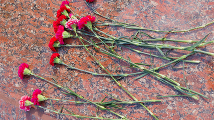 red carnations on the granite stone