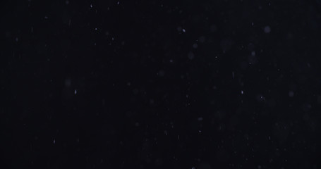 snow like particles flying over black background