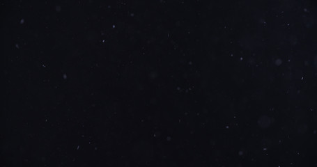 snow like particles flying over black background