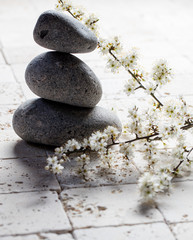 pebbles in balance with zen spring flowers for meditation