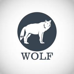 Wolf design. Animal concept.Wildlife animal, vector illustration