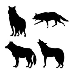 Wolf design. Animal concept.Wildlife animal, vector illustration