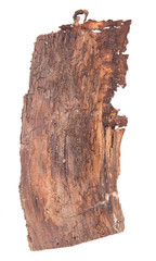 piece of tree bark. Isolated on white background